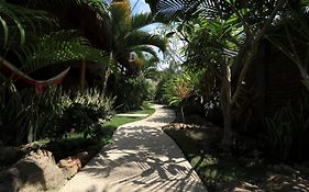 Albany Home Stay